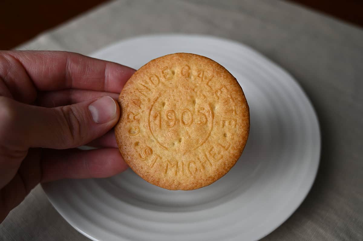 Image of a hand holding one biscuit close to the camera.