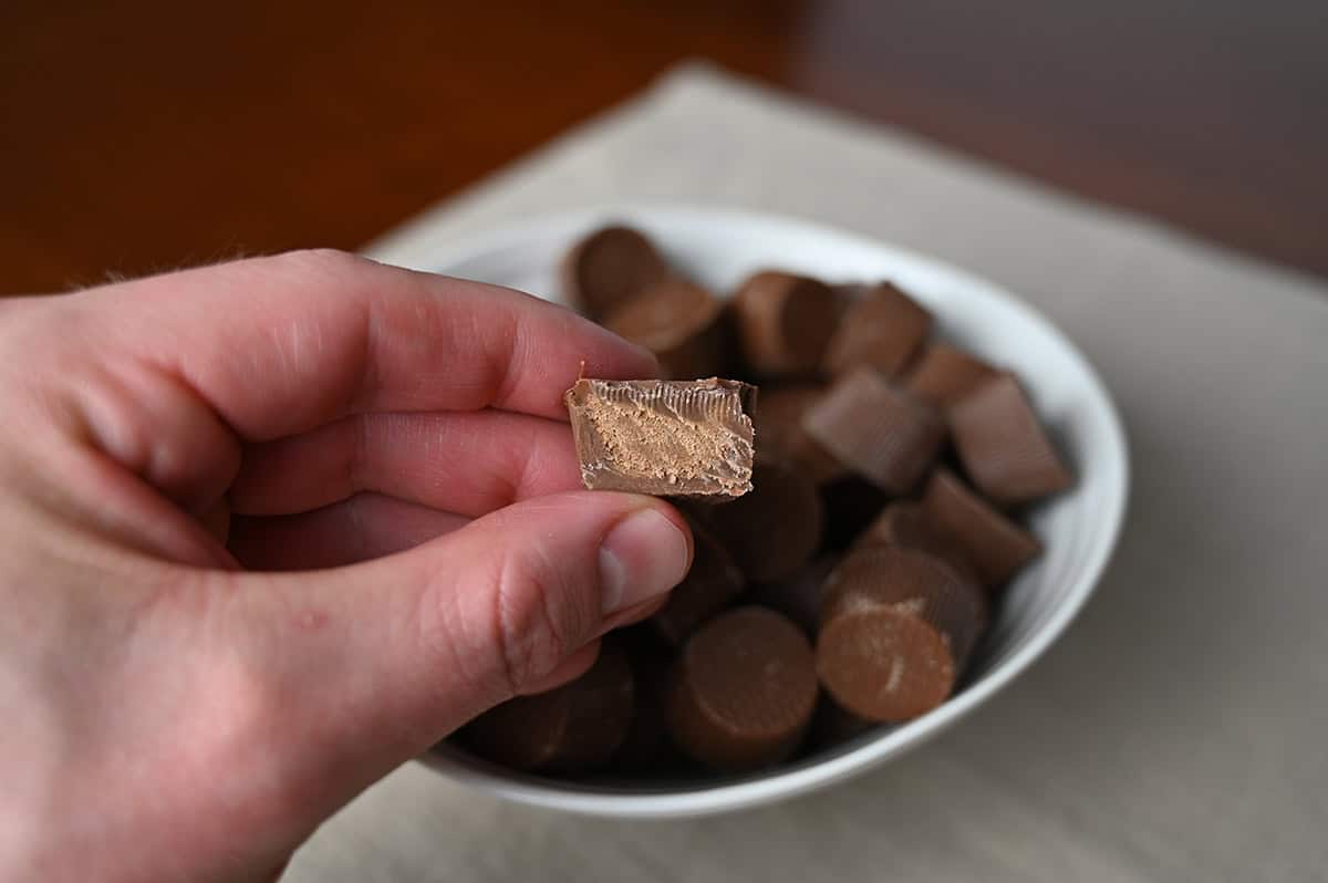Closeup image of a hand holding one cookie butter cup close to the camera with a bite taken out of it so you can see the filling.