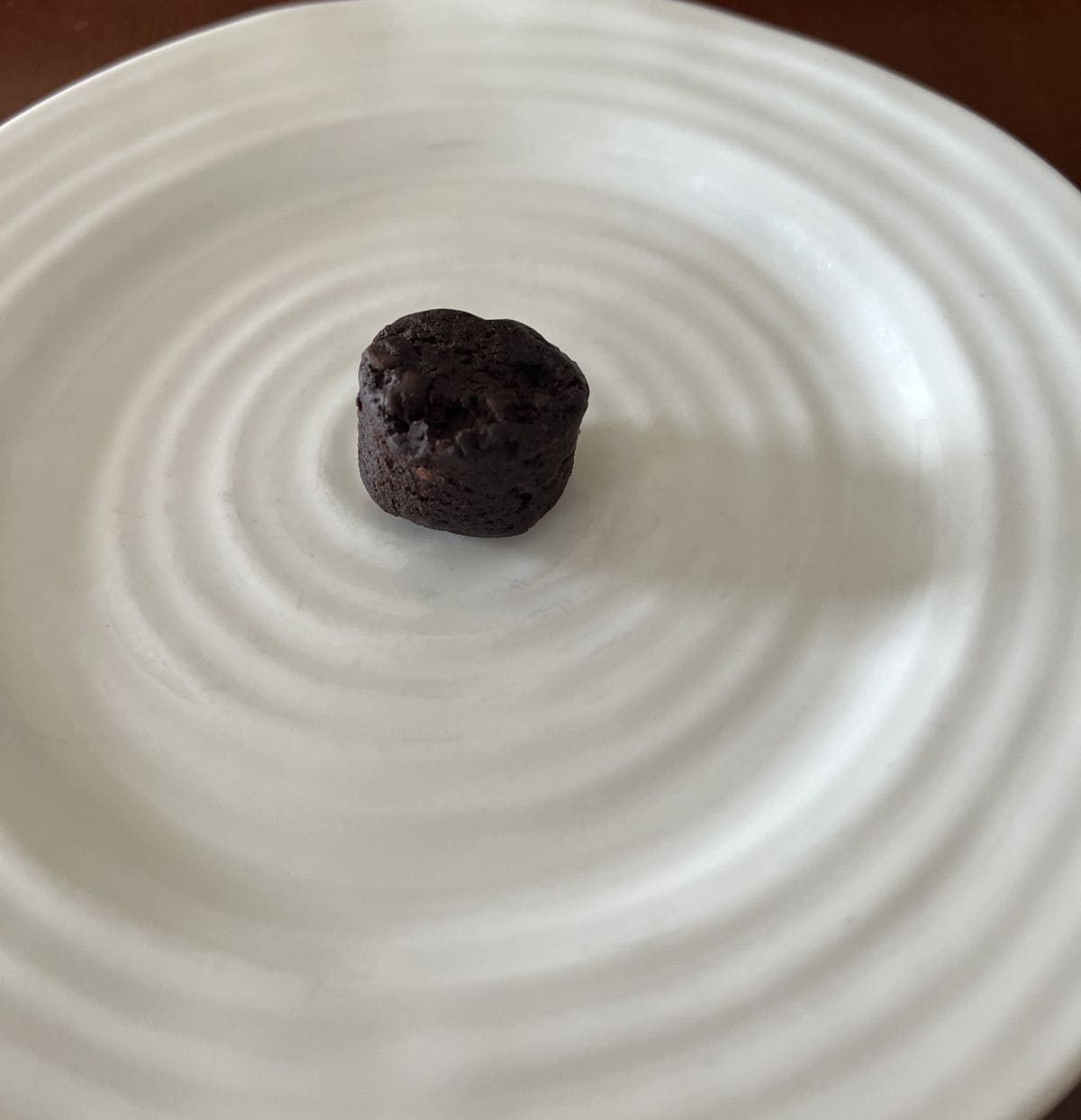 Image of one double chocolate snacking bite served on a white plate. 