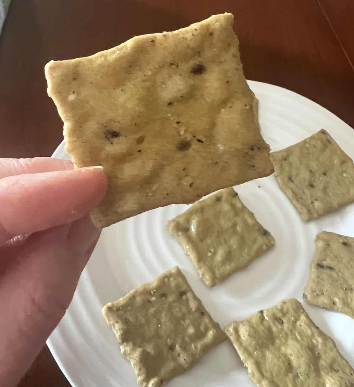 Image of a hand holding one avocado cracker close to the camera. 