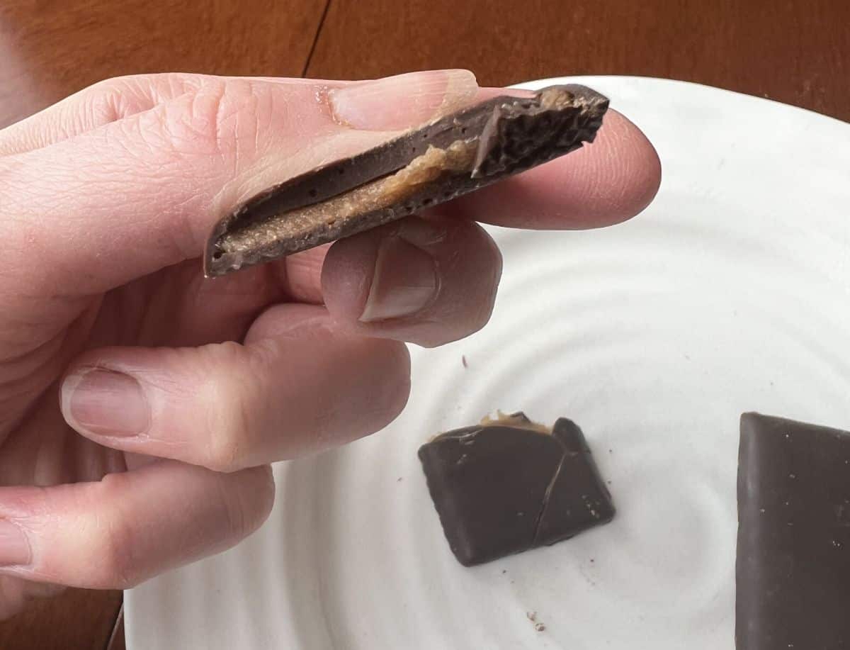 Image of a hand holding one fruit thin close to the camera so you can see the filling inside.
