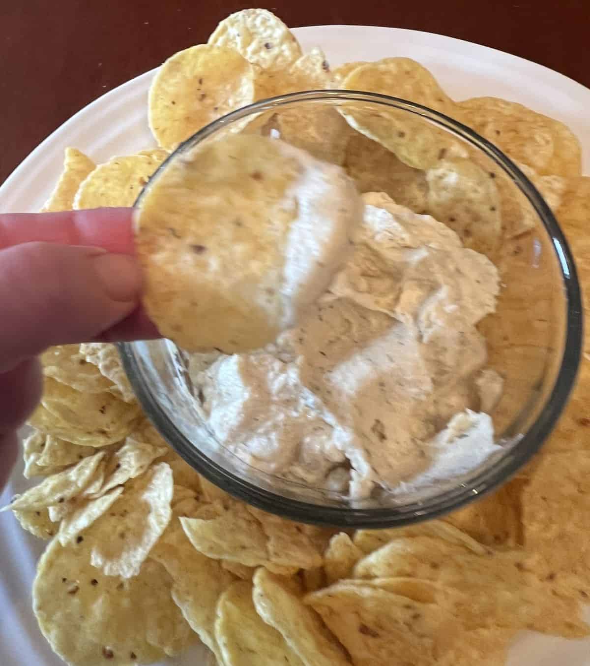 Image of a hand holding a tortilla chip dipped into a bowl of hummus. 