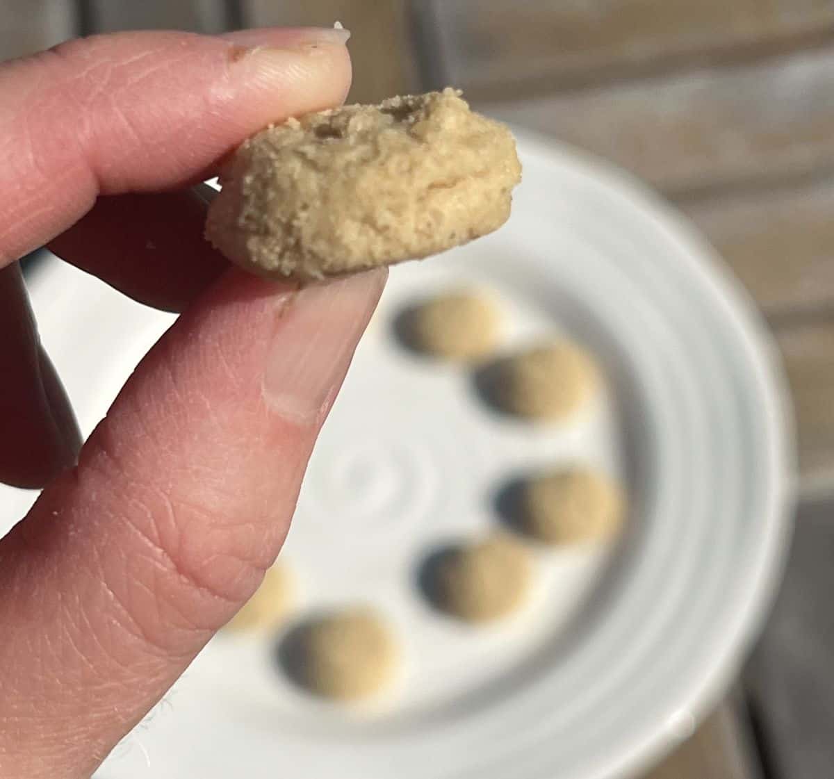 Image of hand holding one mini crunchy cookie close to the camera.