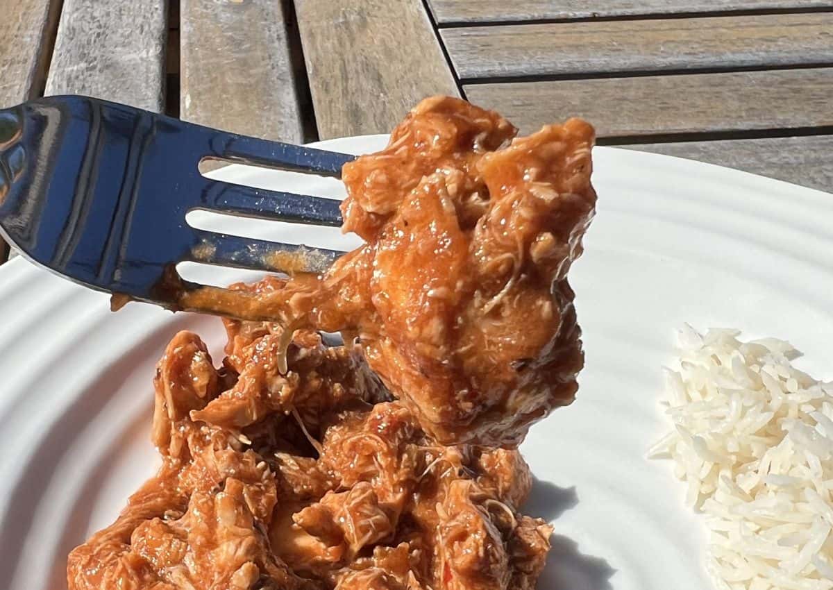 Closeup image of a fork with chicken tinga on it hovering over a plate.