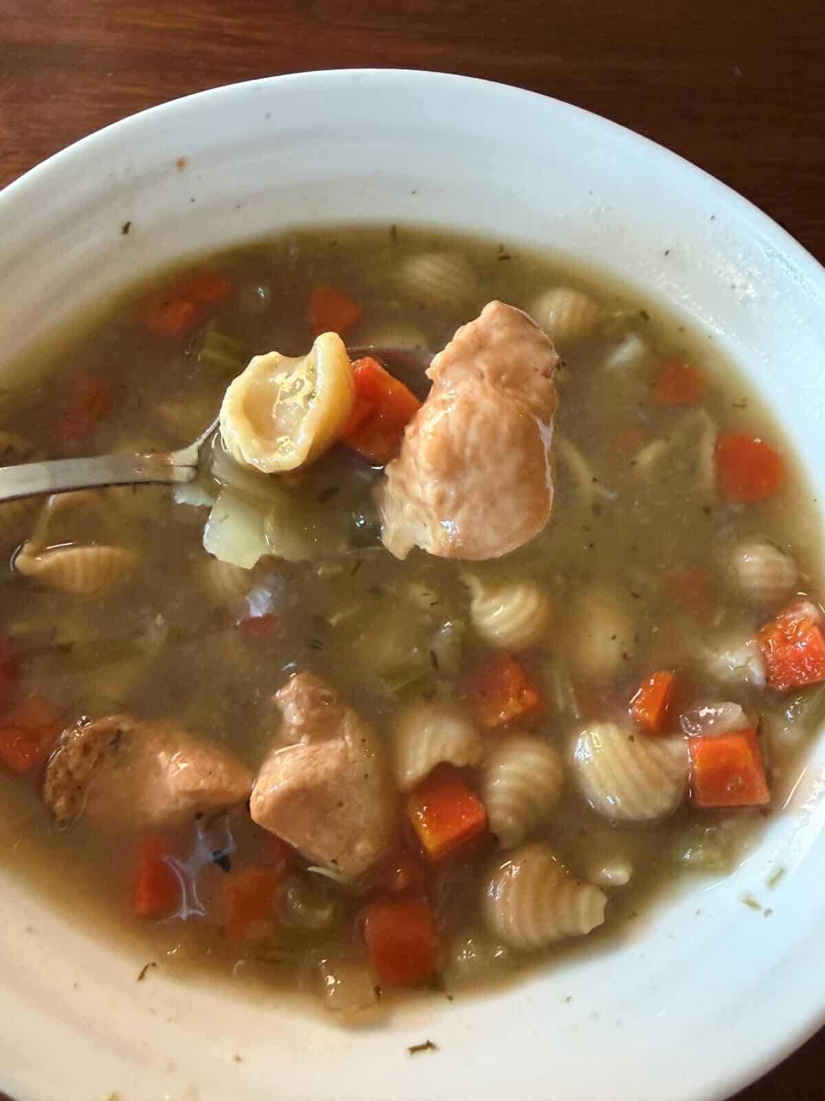 Image of a spoon hovering over a bowl of soup, on the spoon is a noodle, a piece of carrot and a piece of chicken.