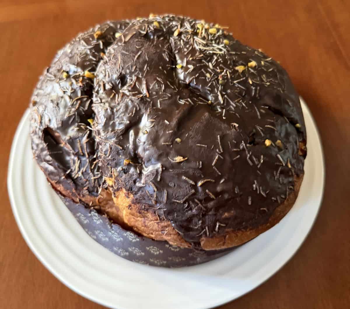 Top down image of the panettone sitting on a white plate so you can see the chocolate coating.