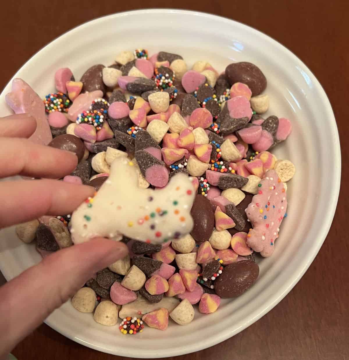 Top down image of the birthday cake mix poured into a while bowl with a hand holding a coated sugar cookie hovering over the bowl. 