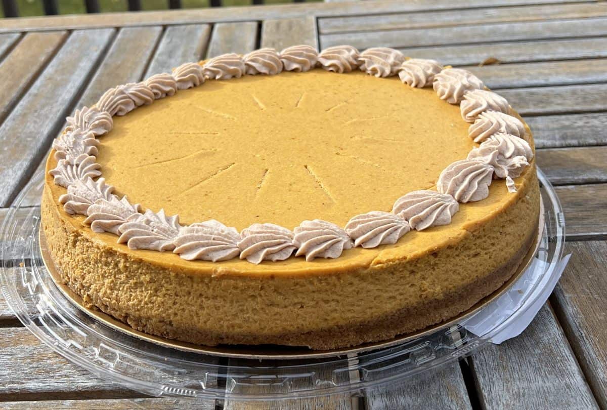 Side view image of the entire pumpkin cheesecake sitting on a table outside with the lid off. You can see the graham crust and the pumpkin filling.