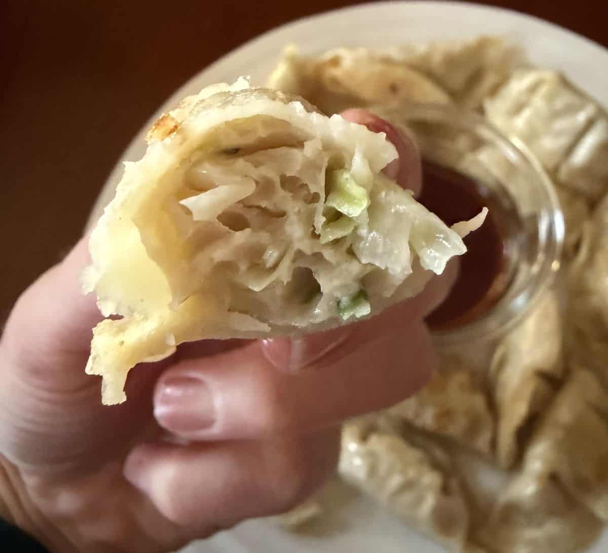Closeup image of a hand holding one potsticker close to the camera so you can see the filling. 