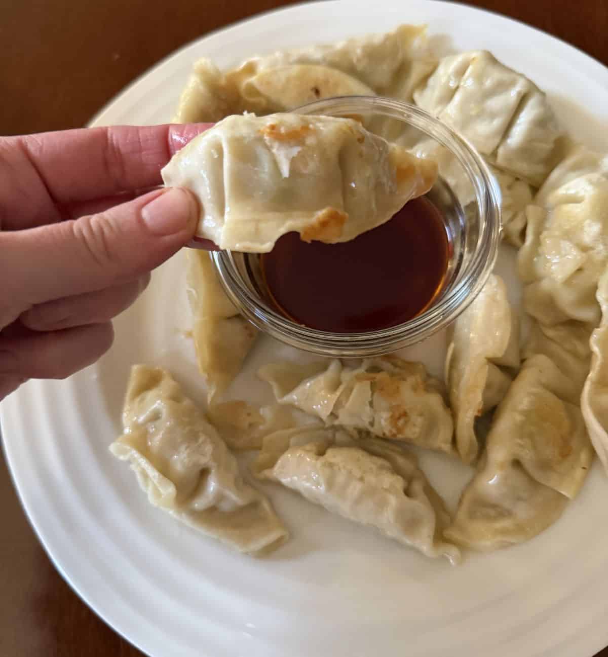Image of a hand holding one potsticker that's been dipped in sauce. 