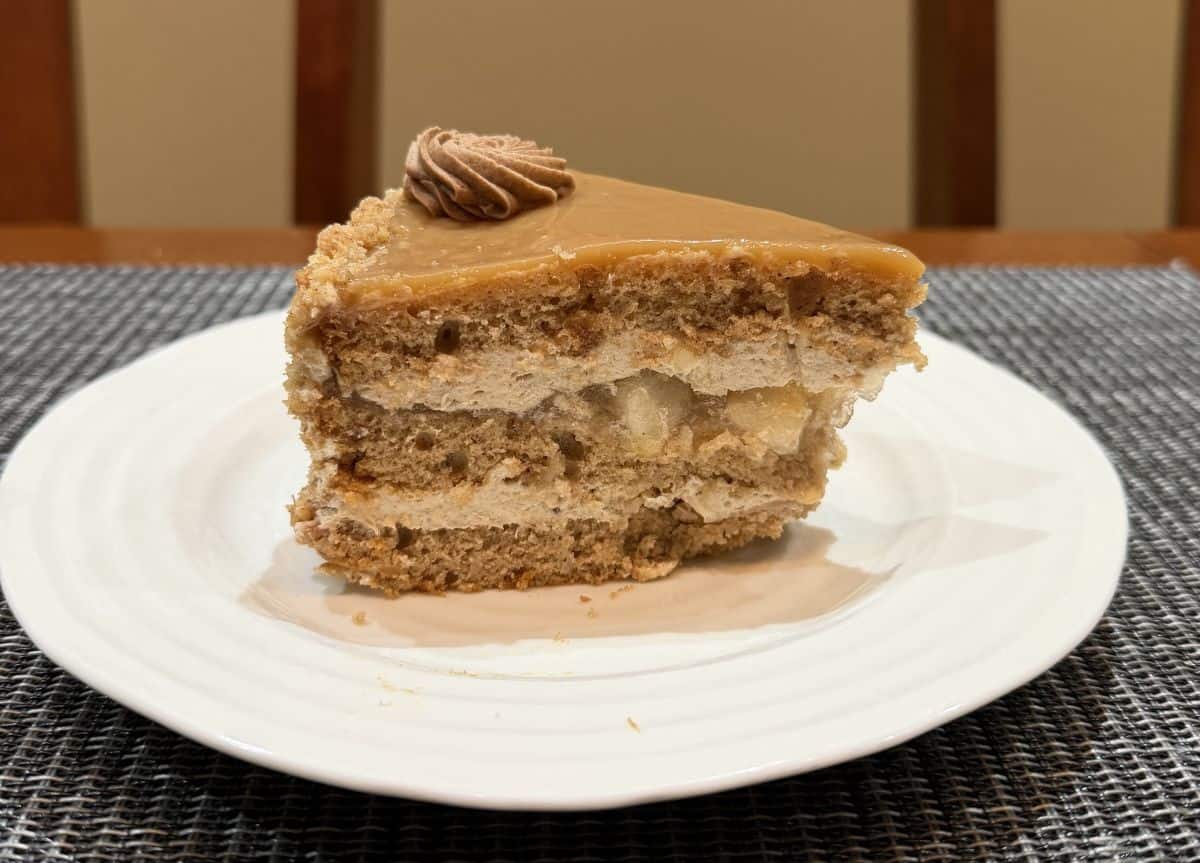 Image of one slice of cinnamon apple cake served on a white plate. You can see all the layers of the cake.