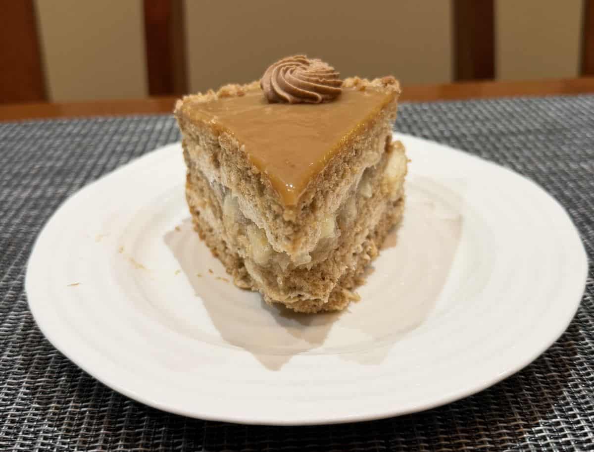 Image of a slice of cinnamon apple cake served on a white plate.