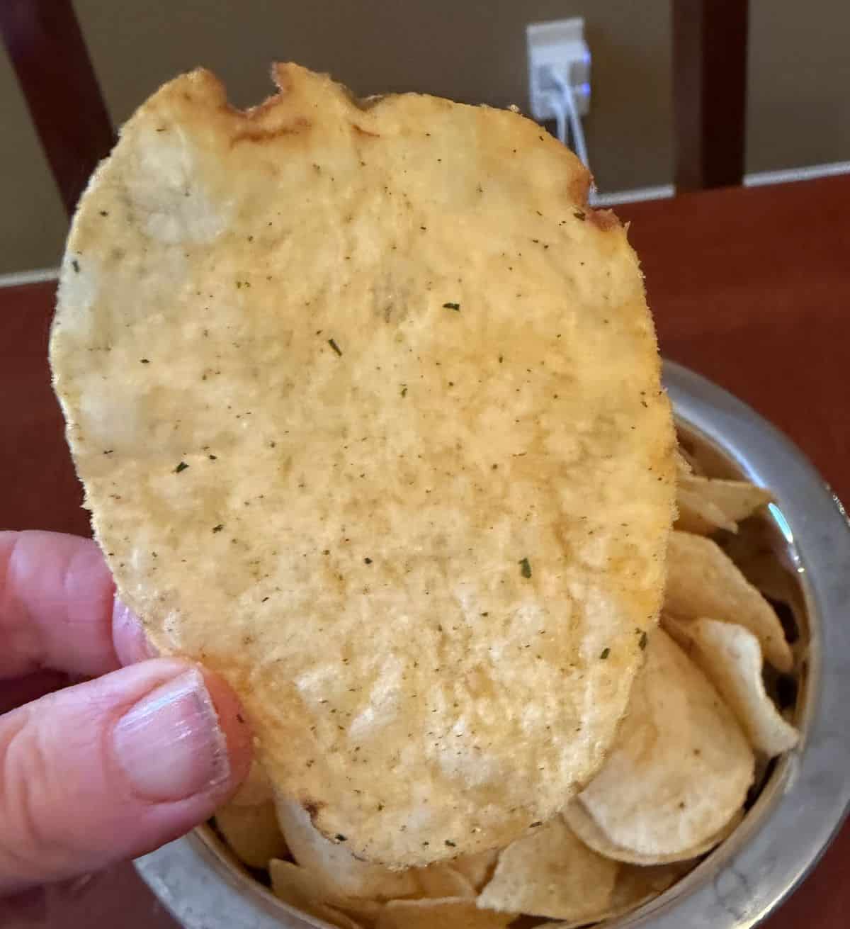 Closeup image of a hand holding one Lay's Turkey Dinner Chip close to the camera.