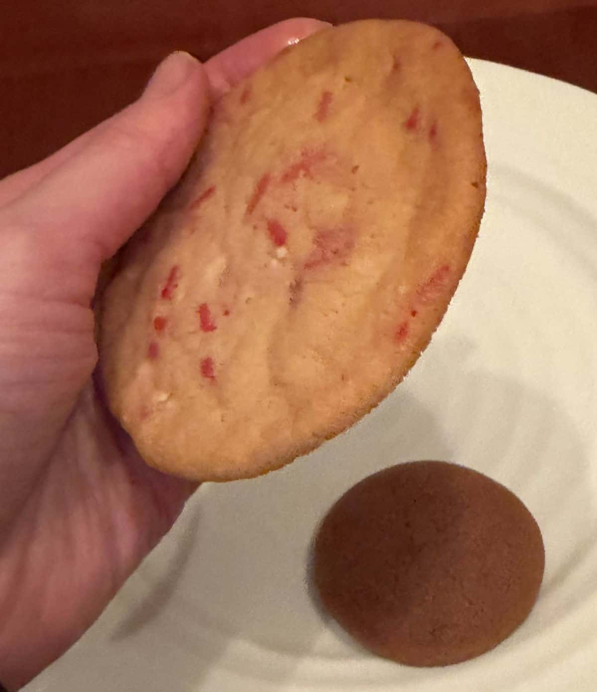 Image of a hand holding one sugar cookie close to the camera.