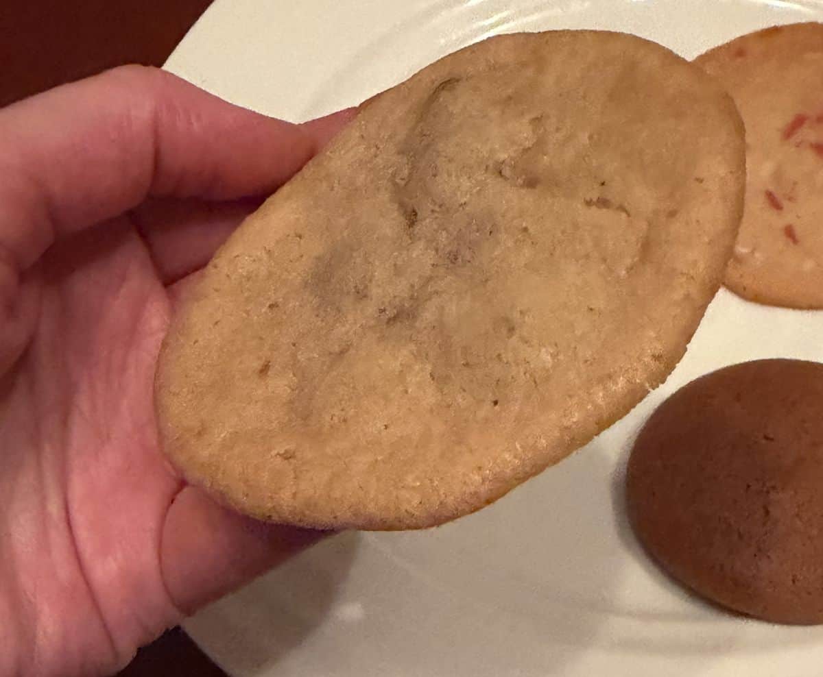 Image of a hand holding one chocolate chip cookie close to the camera.