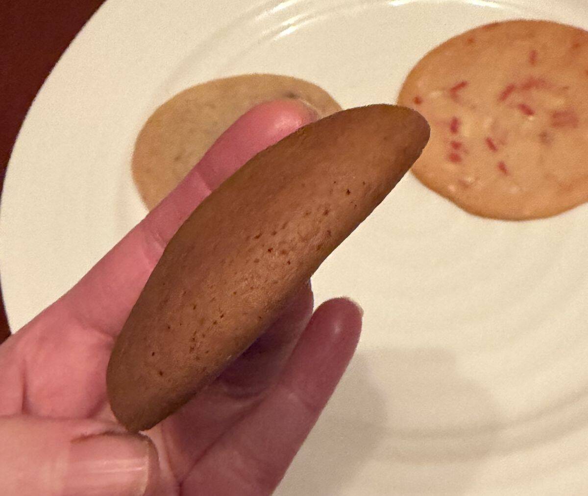 Image of a hand holding one gingerbread cookie close to the camera.