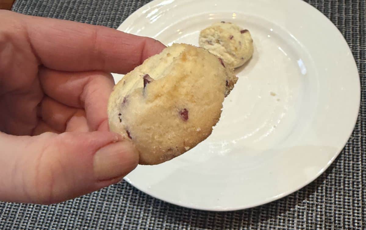Sideview closeup image of a hand holding one white chocolate cranberry shortbread cookie close to the camera.