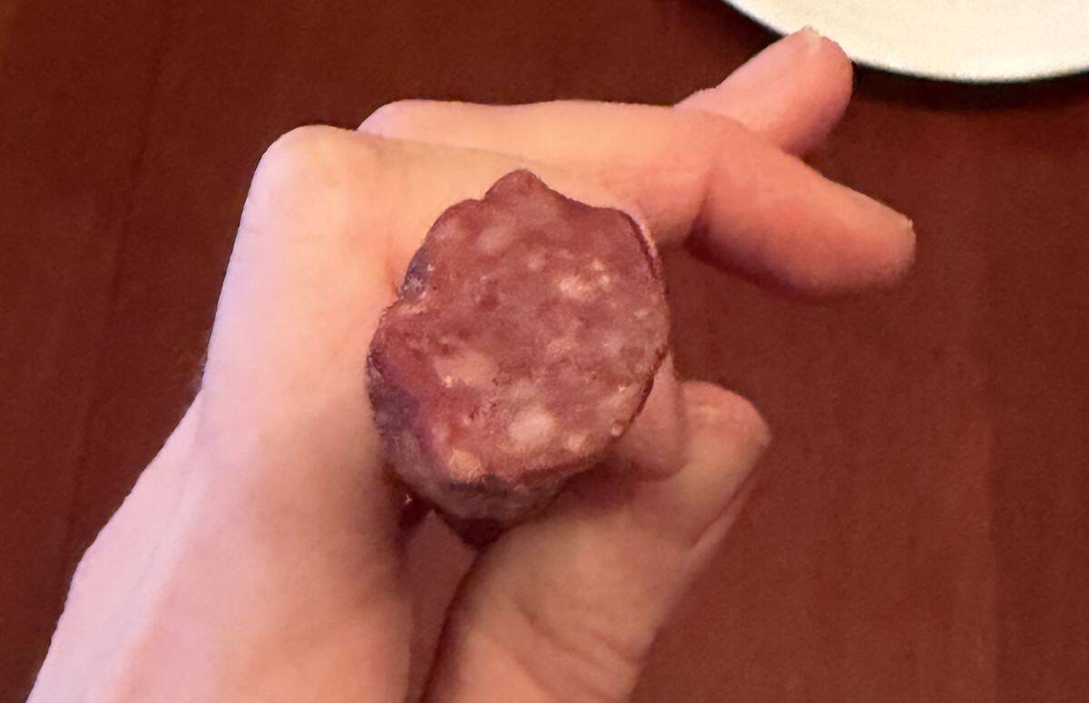 Image of a hand holding one beef stick close to the camera so you can see what the inside looks like.