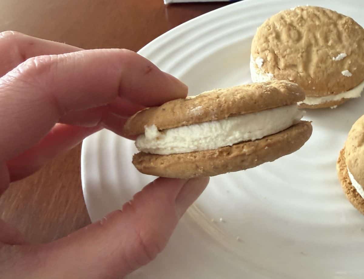 Image of a hand holding one oat sandwich cookie close to the camera.