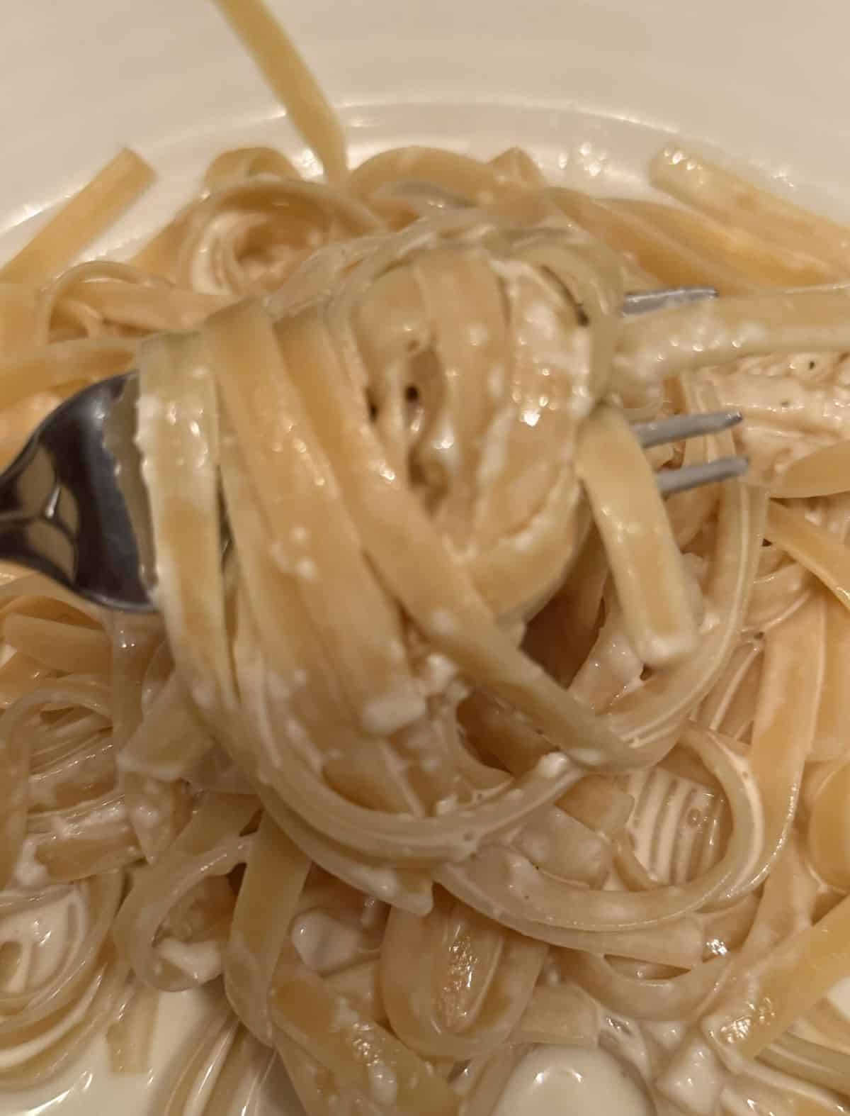 Closeup top-down image of a fork with fettucine alfredo on it hovering over a plate of pasta.