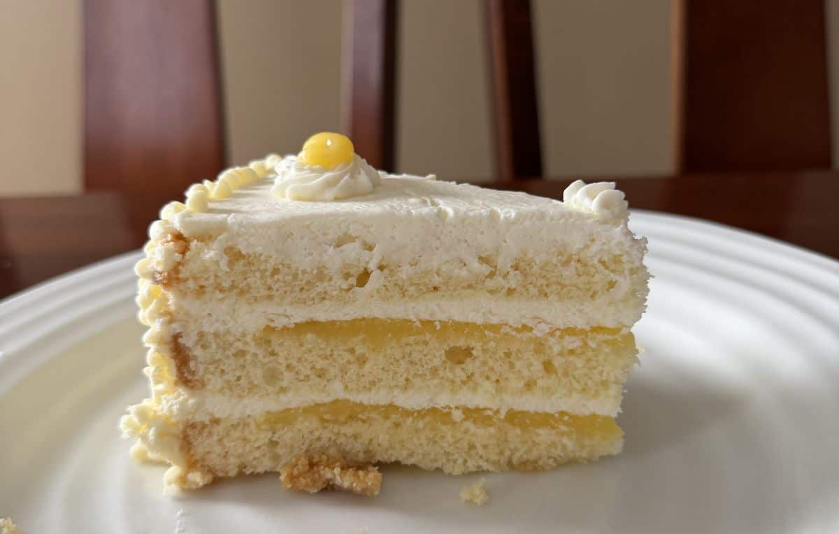 Sideview closeup image of one slice of cake served on a white plate so you can see all the layers.