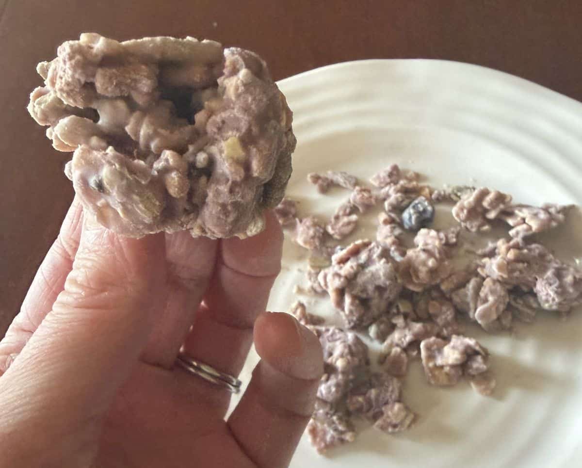 Image of a hand holding one cluster closeup to the camera.