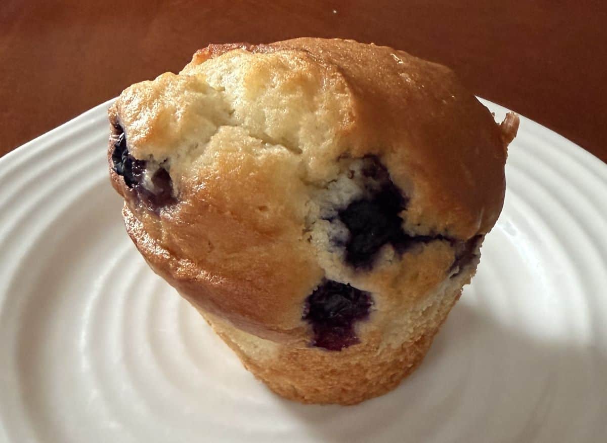 Image of one blueberry muffin served on a white plate.