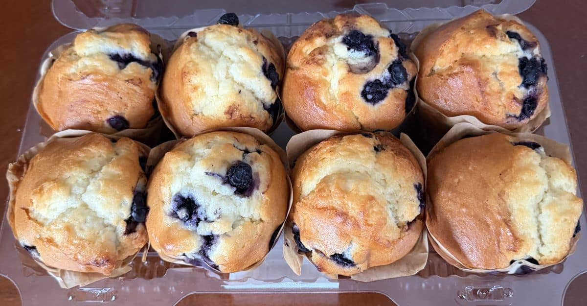 Top-down image of a pack of eight blueberry muffins with the lid off so you can see the top of the muffins.