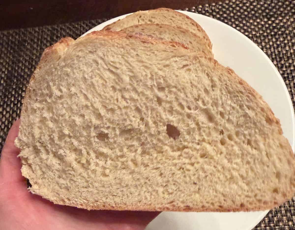 Image of a hand holding one single slice of the Kirkland Signature Italian Rustic Loaf close to the camera.