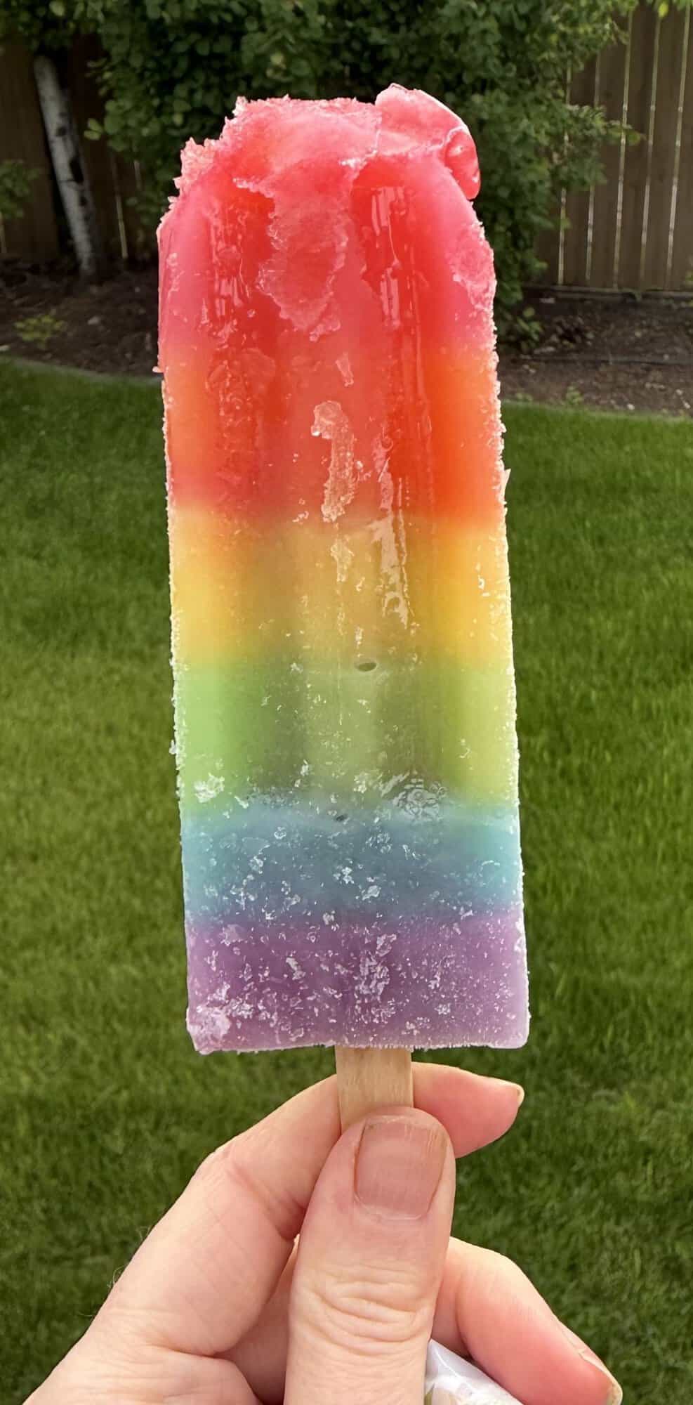 Image of a hand holding one Jonny Ice Pop outside with grass in the background.