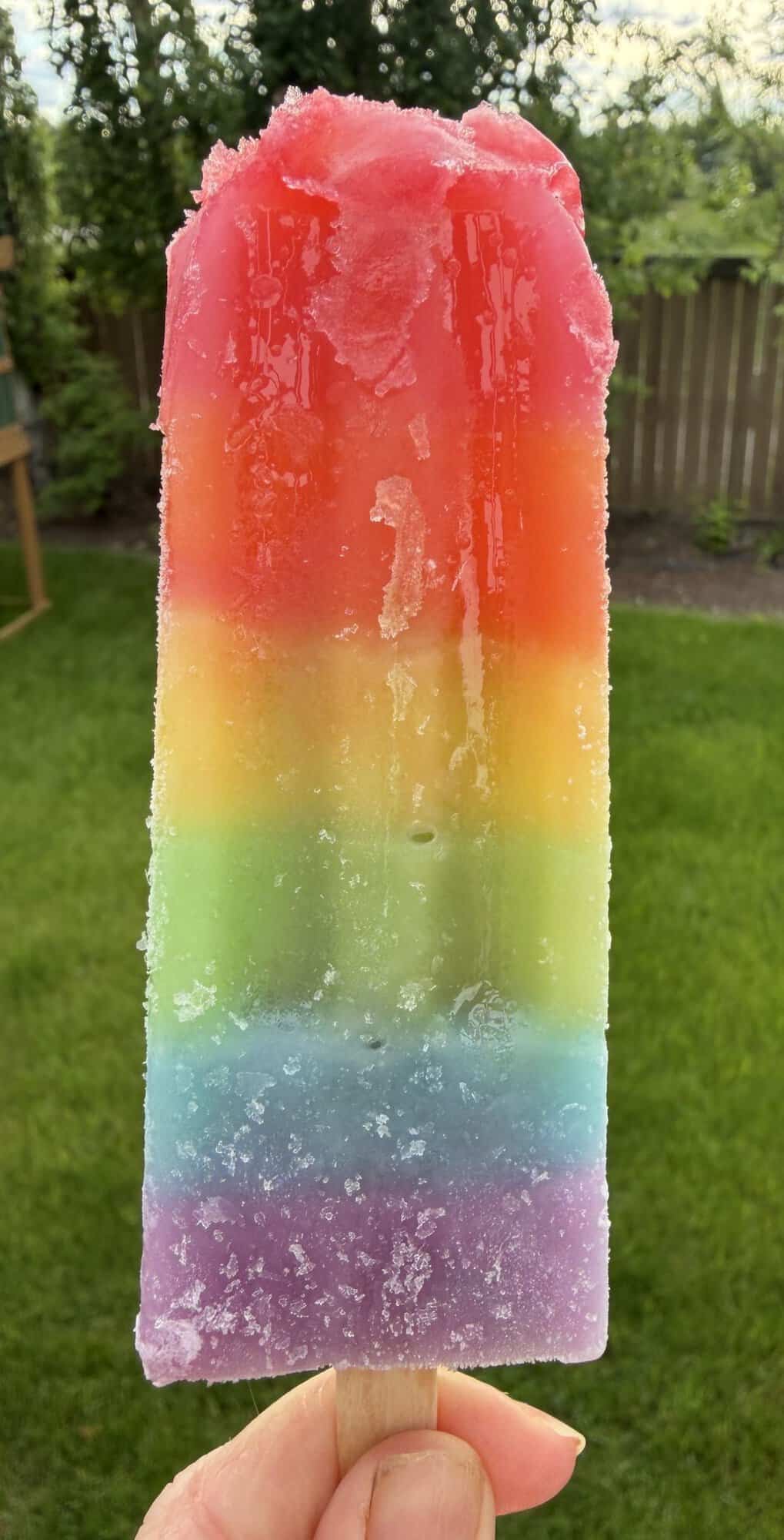 Closeup image of one Jonny Pop close to the camera so you can see the different layers.