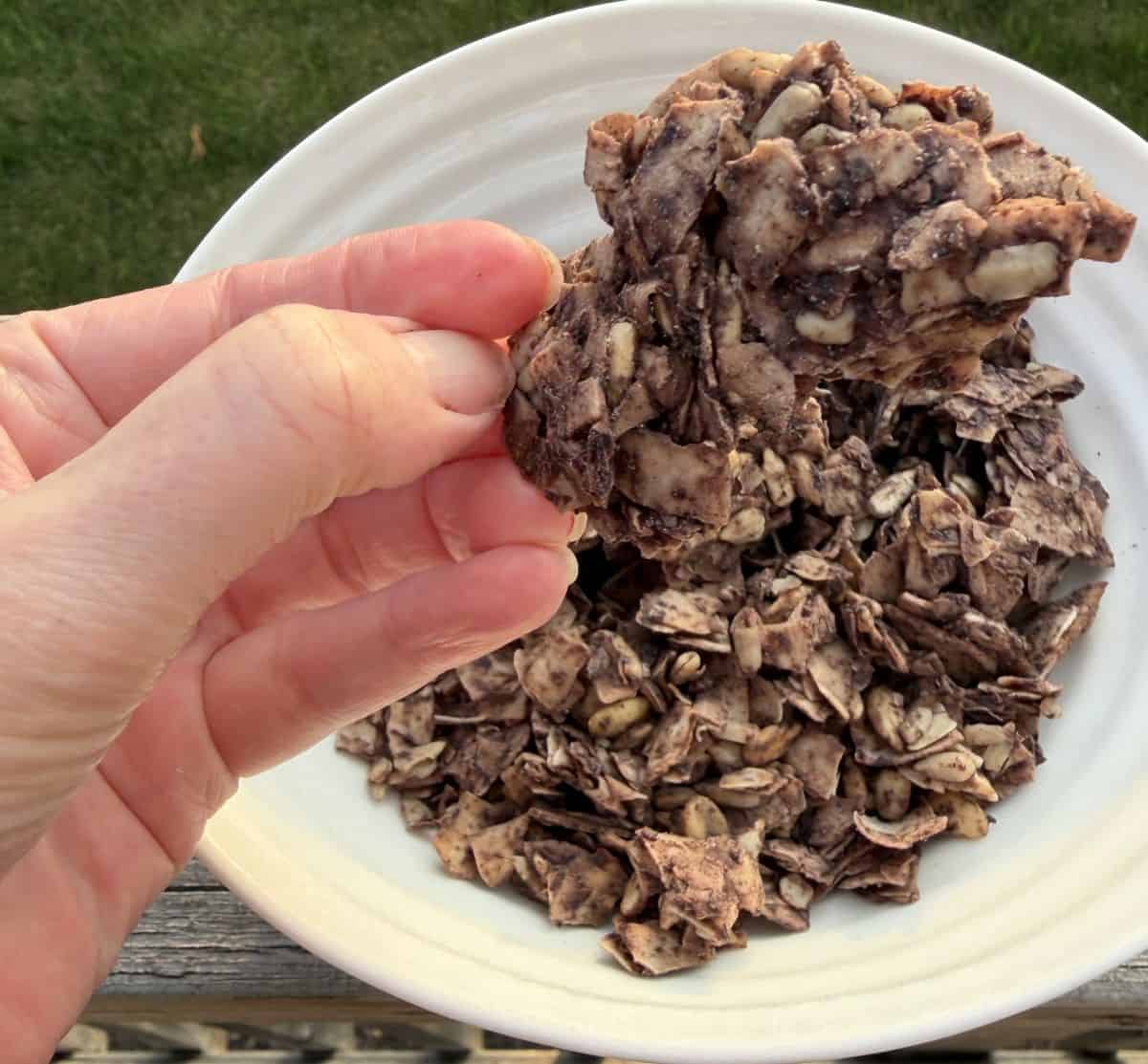 Image of a hand holding a cluster of a granola close to the camera with a bowl of granola in the background.