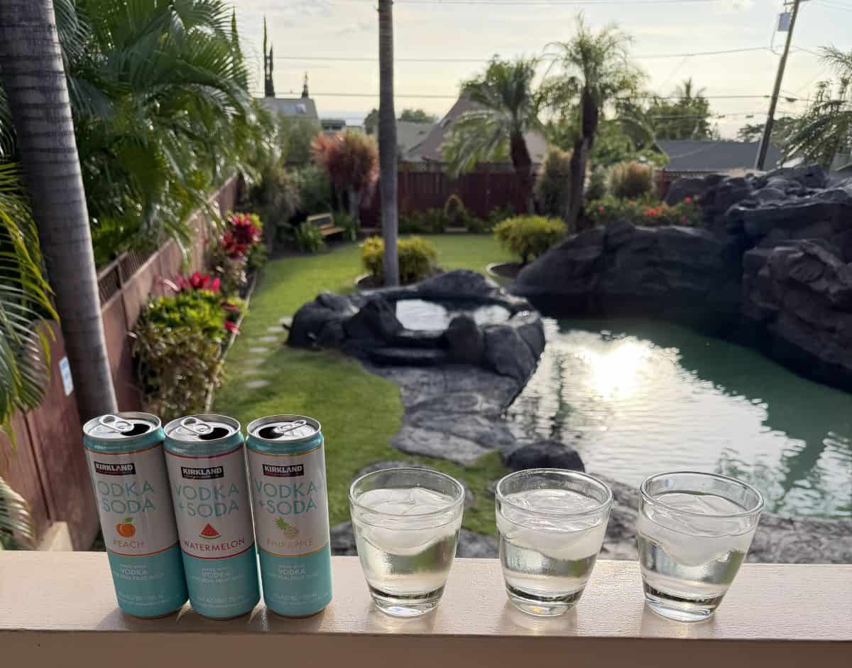 Image of three cans of vodka + soda on a deck beside three glasses with vodka + soda poured into the glasses. In the background is a tropical paradise.