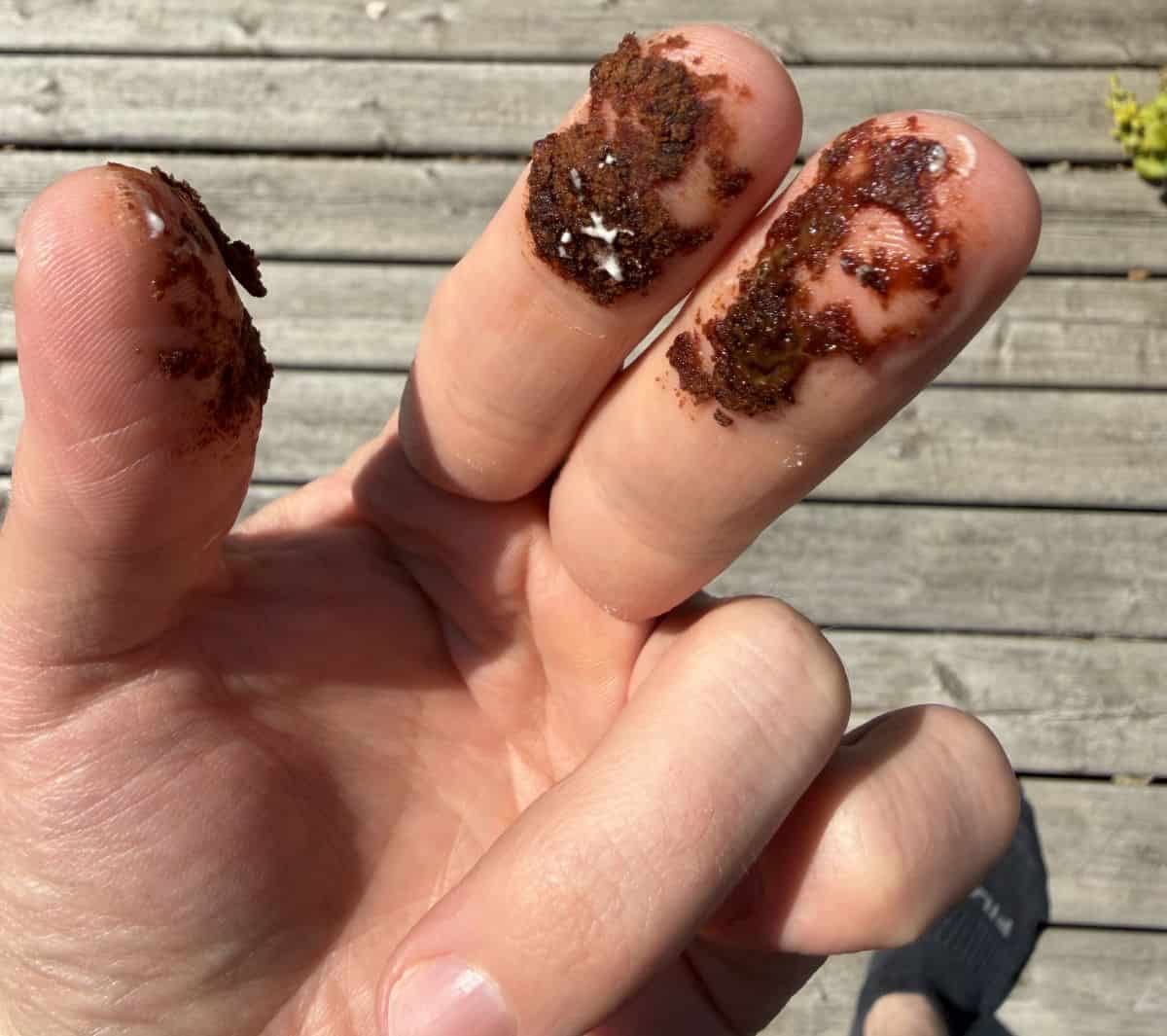 Image of a hand with melted ice cream sandwich cookie all over the fingers.
