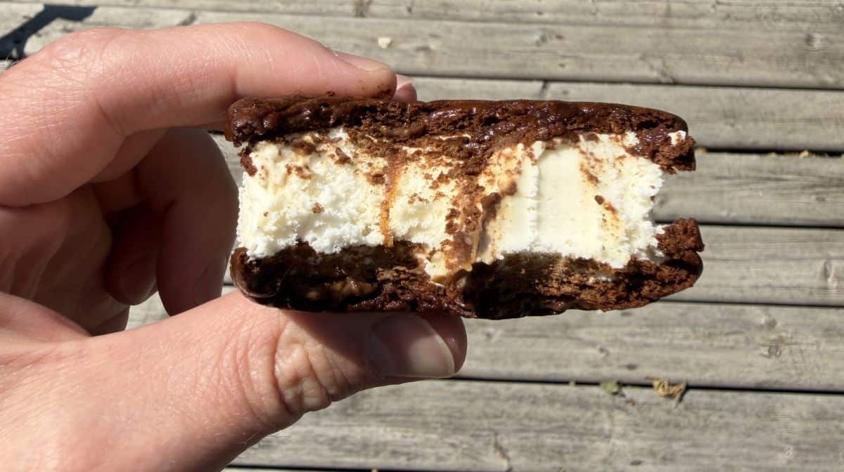 Image of a hand holding one ice cream sandwich with a few bites taken out of it so you can see the center of the ice cream sandwich.