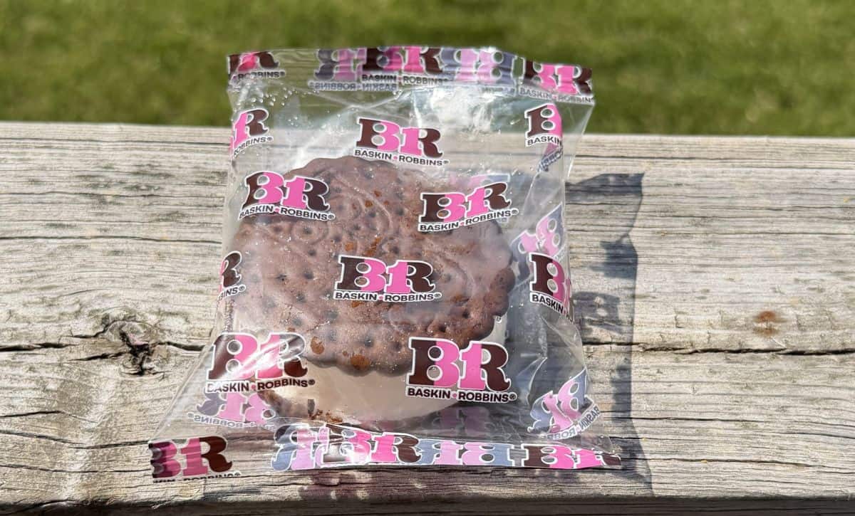Image of one individually packaged ice cream sandwich sitting