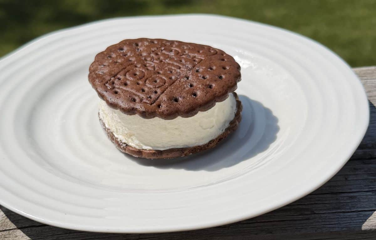 Image of one ice cream sandwich served on a white plate outside.