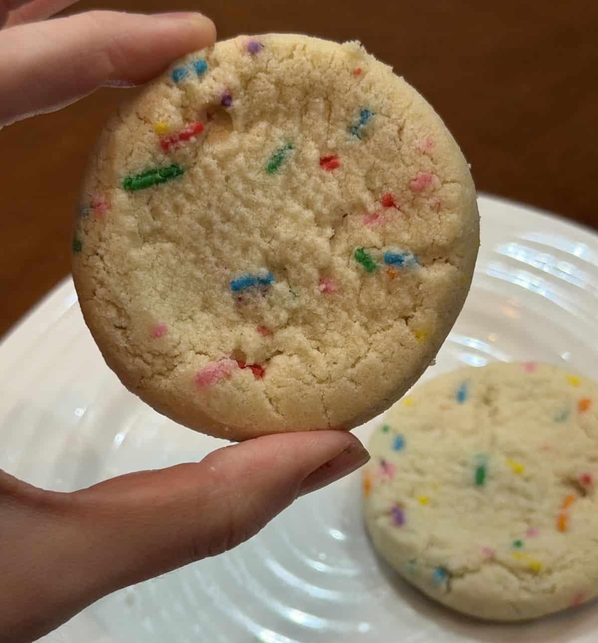 Closeup image of a hand holding one cookie close to the camera with another cookie on a plate in the background of the image.