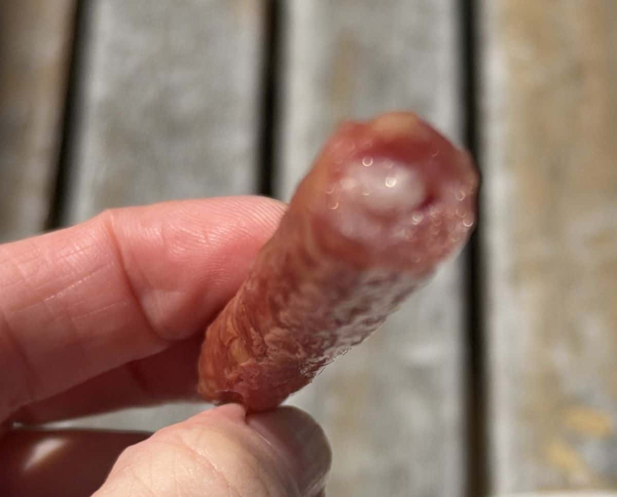 Closeup top down image of a hand holding a salami stick so you can see what the inside looks like.