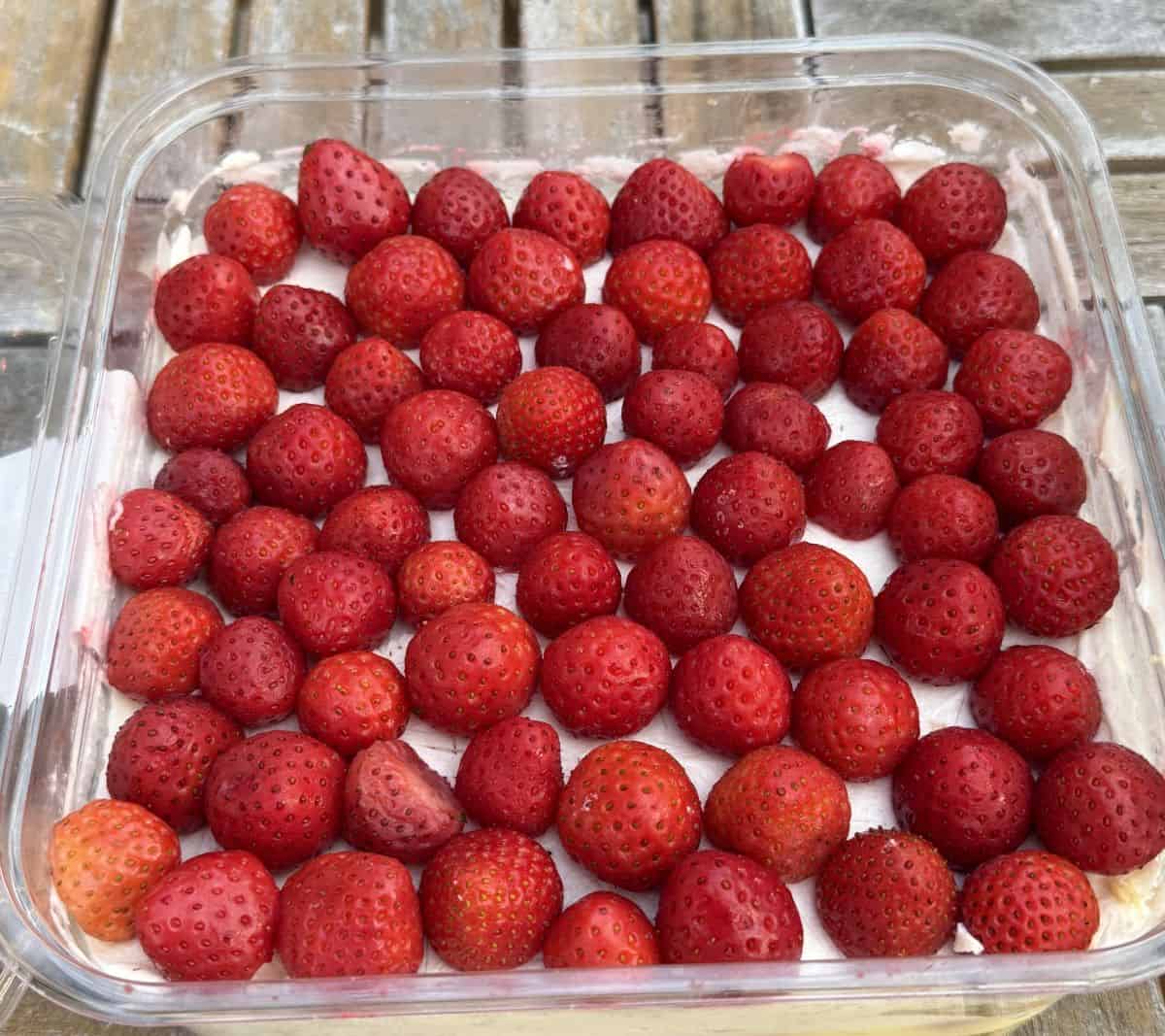 Top down image of the Kirkland Signature Strawberry Scoop Cake with the lid off so you can see the top of it.