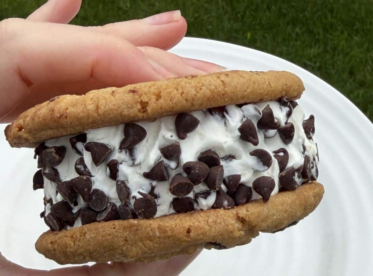 Closeup image of a hand holding one ice cream sandwich close to the camera so you can see how much ice cream is in the middle.