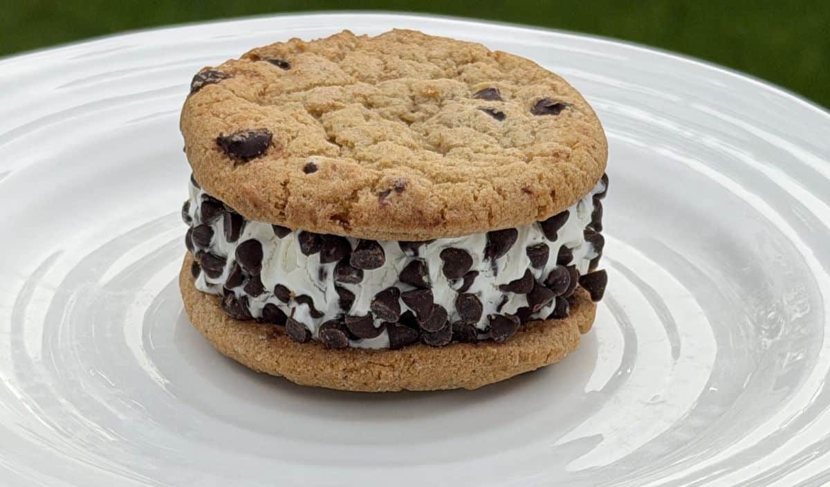 Image of one unwrapped ice cream sandwich served on a white plate.