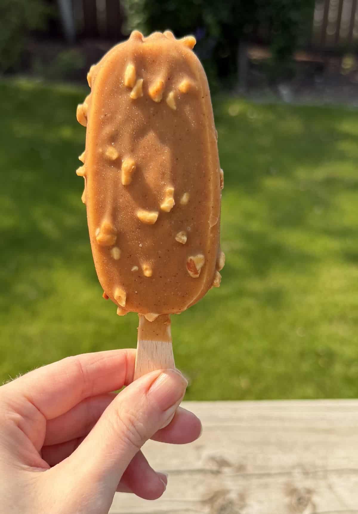 Image of a hand holding one peanut butter ice cream bar close to the camera.