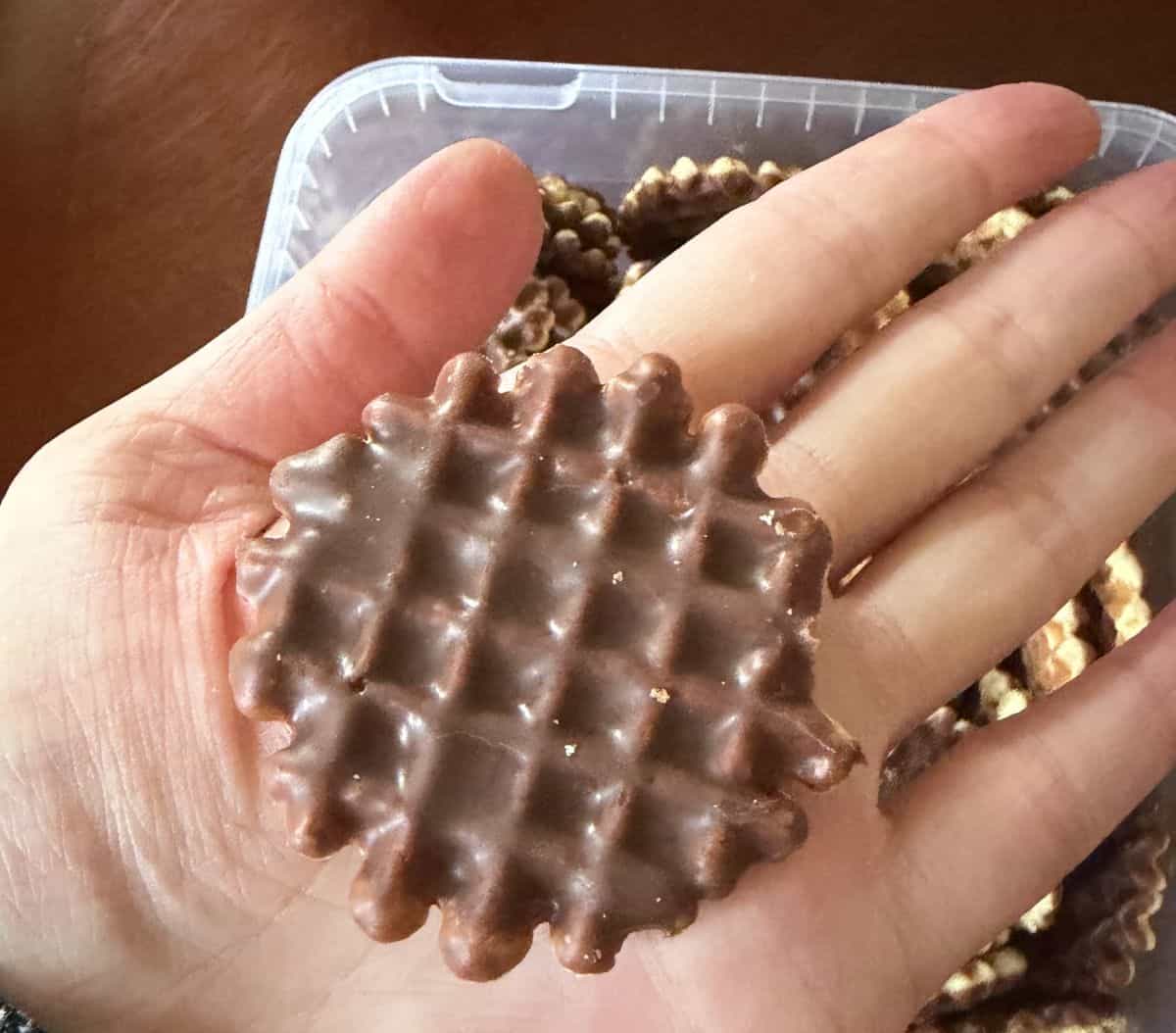 Image of a hand holding one biscuit with the chocolate side up.