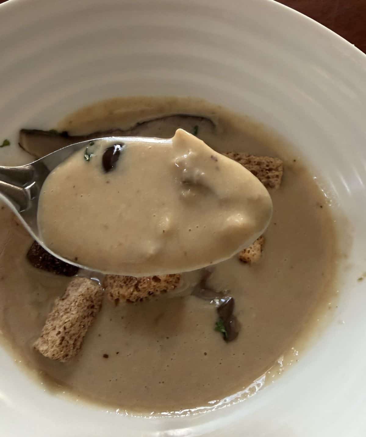 Closeup image of a spoonful of the soup hovering over the bowl of soup.
