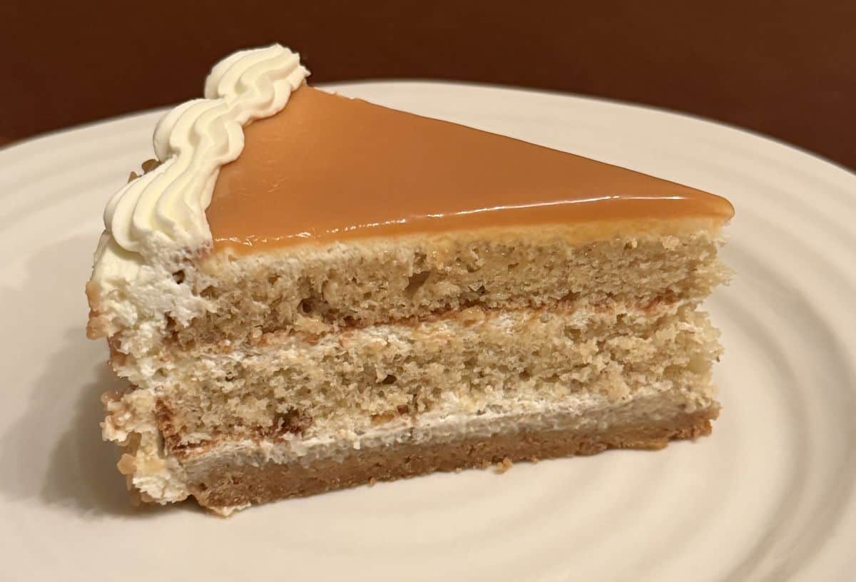 Closeup sideview image of one slice of cake served on a white plate so you can see all the layers.